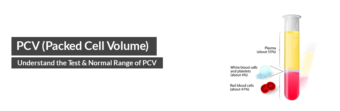  PCV- Understand the Test & Normal Range of PCV